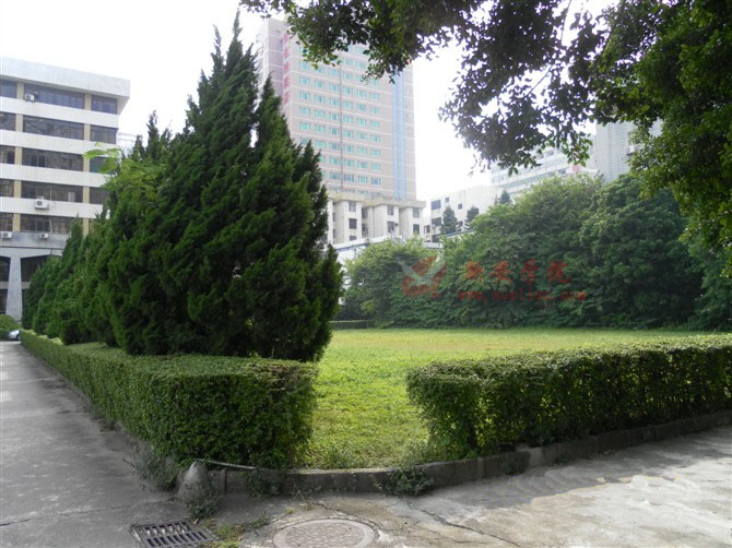 新安学院